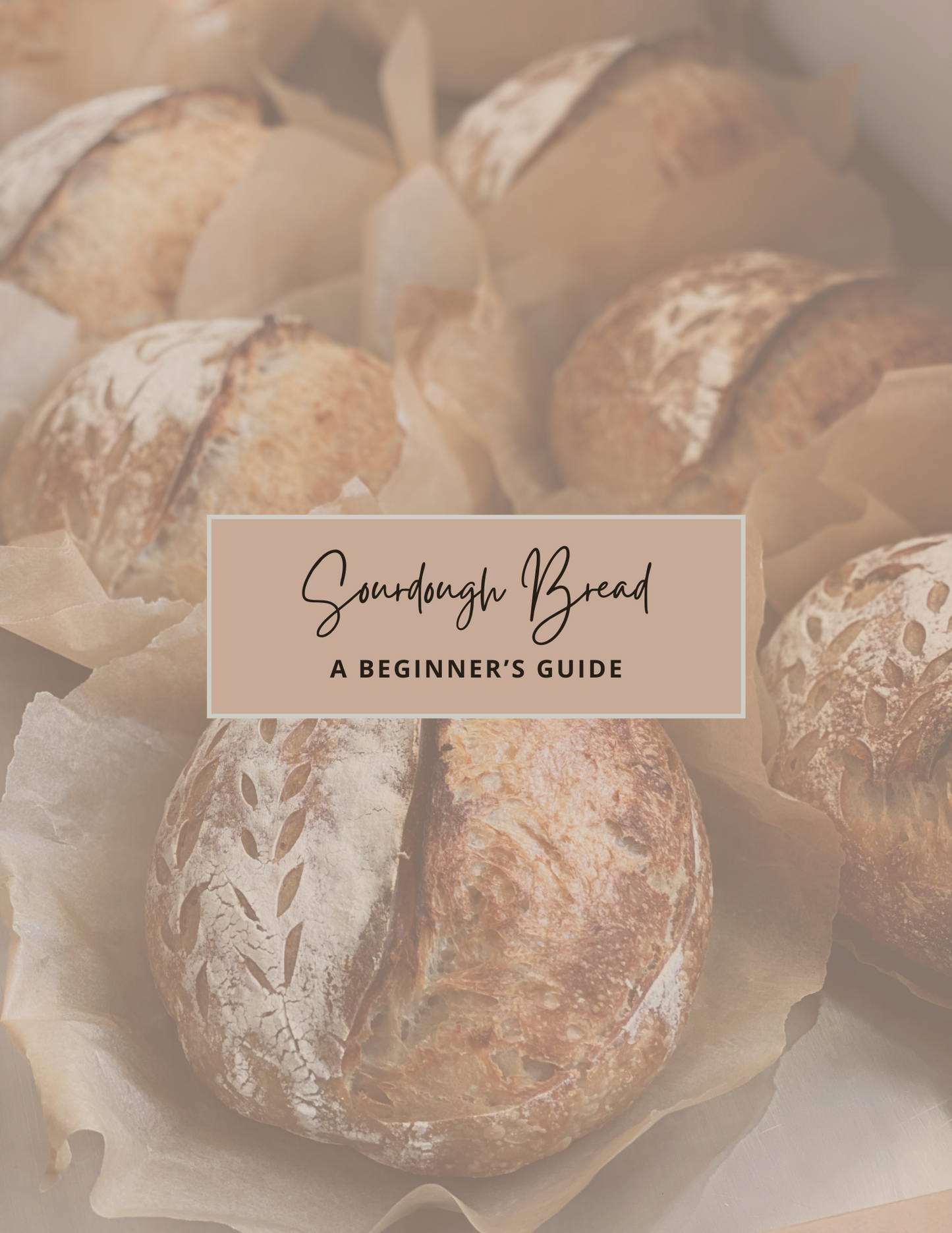 Sourdough Bread: A Beginner's Guide
